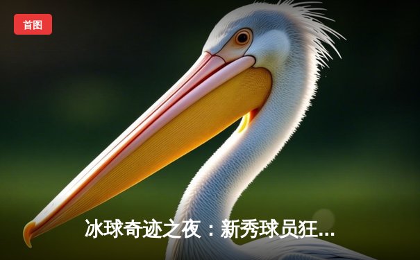 冰球奇迹之夜：新秀球员狂揽10万分，打破单机冰球游戏历史记录